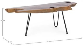 Masuta de cafea neagra din Lemn de Teak si metal, 100x40x40 cm, Adanya Bizzotto