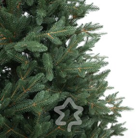 Molid Canadian 100 % 210 cm