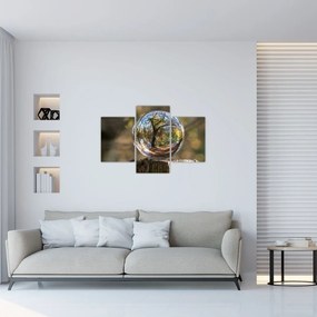 Tablou - Reflecție intr-o sferă transparentă (90x60 cm)