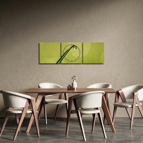 Tablou cu picătură de apă pe iarbă (cu ceas) (90x30 cm)
