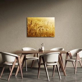 Tablou - Spice de cereale (70x50 cm)