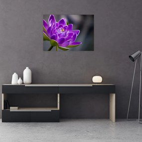 Tablou pe sticlă floarei (70x50 cm)