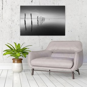 Tablou cu nivelul de lac alb negru (90x60 cm)