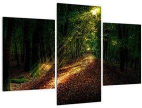 Tablou cu poteca prin pădure (90x60 cm)