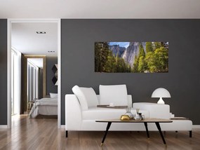 Tablou cu stânci (120x50 cm)