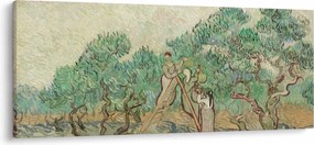 Tablou - Vincent van Gogh, The Olive Orchard, reproducere (120x50 cm)