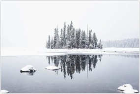 Tablou - A fost alb (90x60 cm)