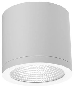 Spot LED aplicat de exterior IP54 CONYON 25W CCT SWITCH
