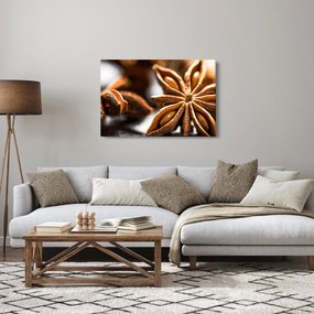 Tablou - Anason (90x60 cm)