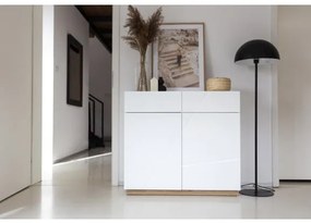 Comoda Fuji Cu 2 Usi Si 2 Sertare, Alb Si Natur, 100 Cm