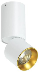 LED Spot de tavan LED/10W/230V