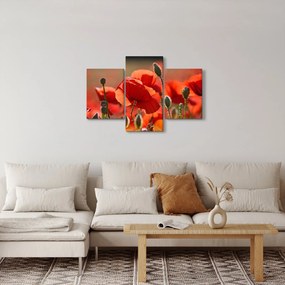 Tablou cu flori de maci (90x60 cm)