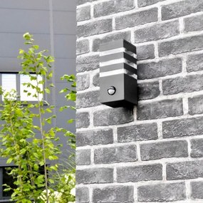 Aplica de perete exterior TEKSAS 1xE27/12W/230V IP44 antracit cu senzor