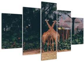 Tablou cu două girafe (150x105 cm)