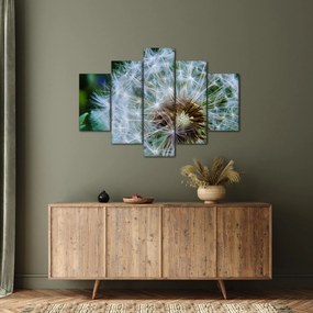 Tabloul cu păpădie desflorit (150x105 cm)