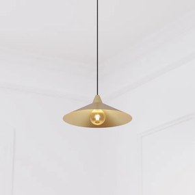 Lustră pe cablu Atmosphera ROSIE 1xE27/40W/230V