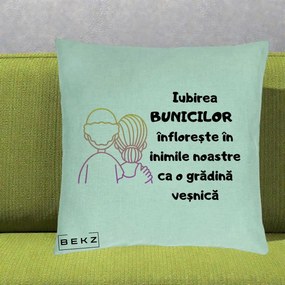 Cadou pentru Bunici - Perna Personalizata Iubirea Bunicilor Infloreste Cuplu Line Art Gradient, 40x40 cm, Verde Menta, Husa Detasabila, Perna Inclusa, BEKZ®