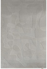 Covor gri din lână 200x300 cm Morphic Botanica – Agnella
