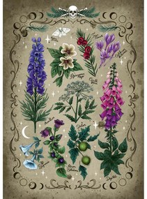 RAVENSBURGER - PUZZLE PLANTE OTRAVITOARE 1000 PIESE - RAVENSBURGER (RVSPA00781)