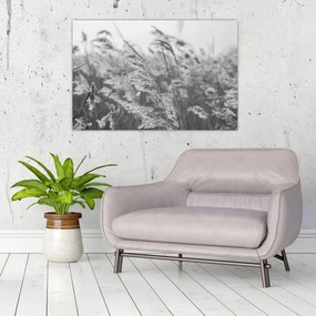 Tablou - Iarba în vânt (90x60 cm)