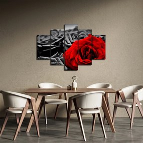 Tablou - Trandafir (150x105 cm)
