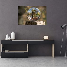 Tablou - Reflecție intr-o sferă transparentă (90x60 cm)