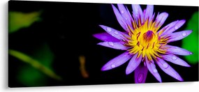 Tablou cu floare (120x50 cm)
