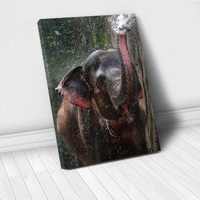Tablou Canvas - Elephant 40 x 60 cm