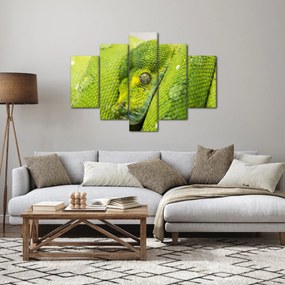 Tablou cu șarpe (150x105 cm)