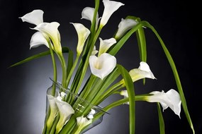 Aranjament floral elegant din cale albe, ETERNITY VANESSA 1141492.95