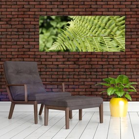 Tablou - Frunză de ferigă (120x50 cm)