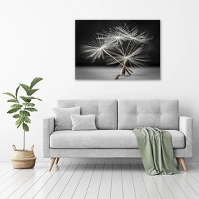 Print pe canvas Semințe de papadie