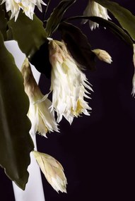 Aranjament floral inalt, design LUX VASE PRINCESS, 160cm 1141112.95