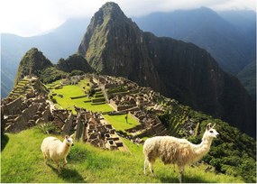 Tablou - Machu Picchu (70x50 cm)