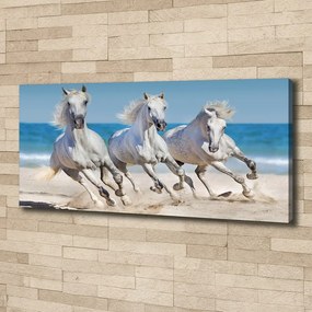 Tablou pe pânză White beach horse