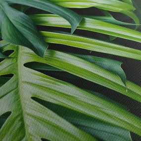 Tablou - Frunze tropicale (120x50 cm)