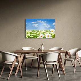 Tablou cu luncă înflorită cu margarete (90x60 cm)