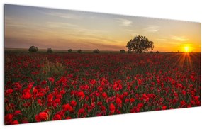 Tablou cu lunca și macii (120x50 cm)