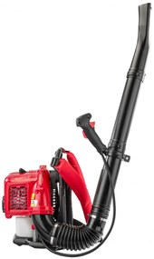 Suflantă de frunze/freză de zăpadă pe benzină 3,8 CP RTODL0059