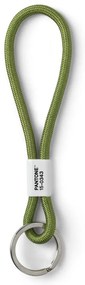 Breloc Green 15-0343 – Pantone