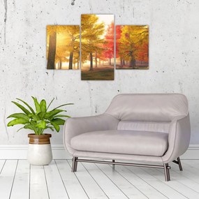 Tablou cu copaci toamna (90x60 cm)