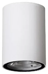 Spot LED aplicat de exterior IP65 CECI alb 9cm NVL-9200612