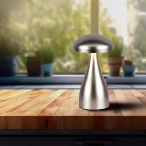 Lampă de birou LED reglabilă, reîncărcabilă, 1W, 5V, 3000-6000K, 1800 mAh, argin