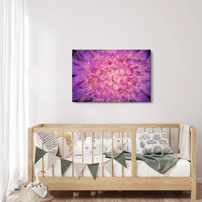 Tablou detailat cu floare (90x60 cm)