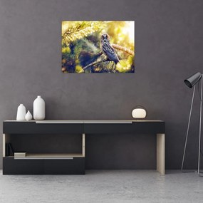 Tablou pe sticlă - Bufniță în copac (70x50 cm)