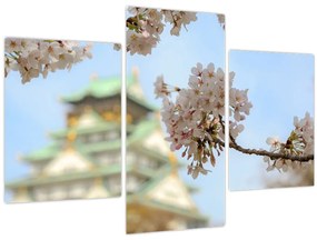 Tablou - Sakura (90x60 cm)