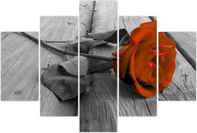 Tablou - Trandafir portocaliu (150x105 cm)