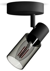 Spot Philips PALMS 1xE14/25W/230V