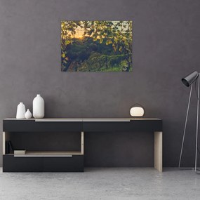 Tablou - Podgorii (70x50 cm)