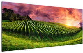 Tablou cu vie cu cerul color (120x50 cm)